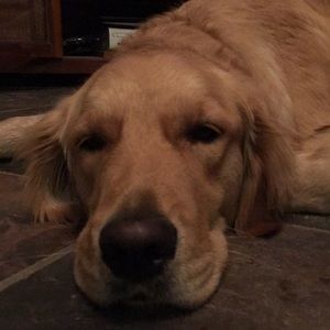 Meet your Posher, Janice